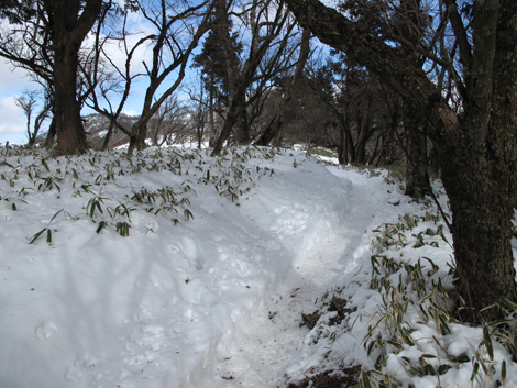 20170118hike (275)